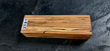 Stabilisierte gestockte Buche (25B1)